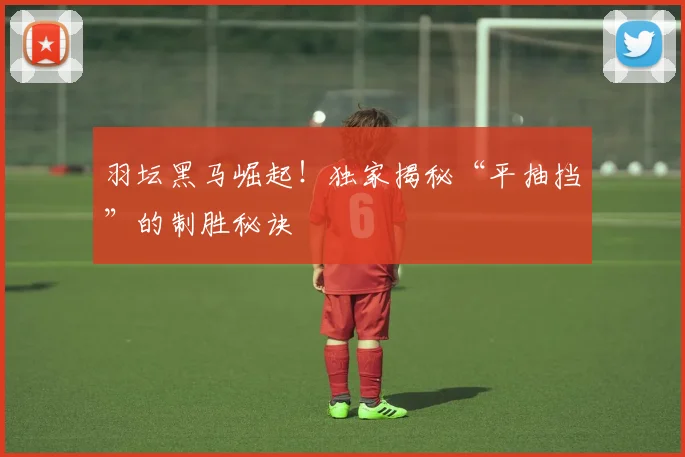 羽坛黑马崛起!独家揭秘“平抽挡”的制胜秘诀